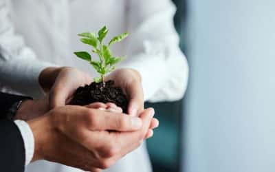 Cooplat ha contribuito alla piantumazione di due alberi noleggiando un veicolo elettrico